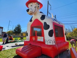 20221027 115943 870319866 Fire Dalmatian Bounce