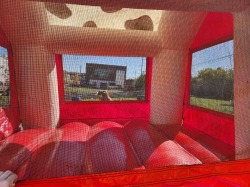 20221027 115952 741774896 Fire Dalmatian Bounce